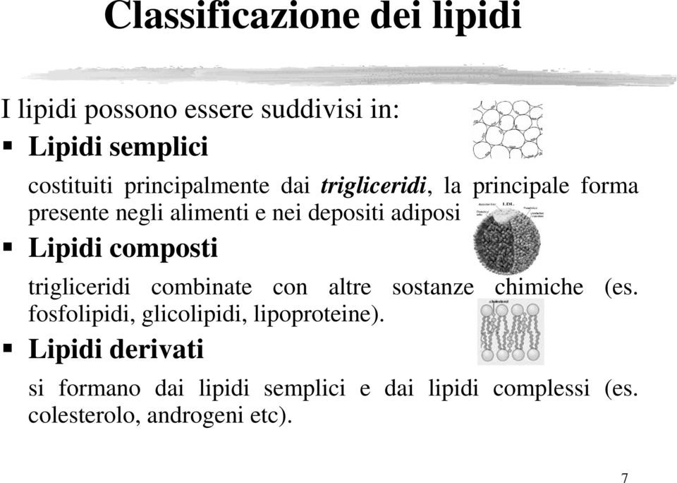 Lipidi composti trigliceridi combinate con altre sostanze chimiche (es.