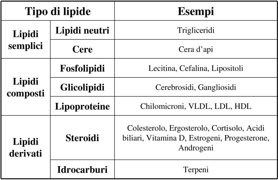 Lecitina, Cefalina, Lipositoli Cerebrosidi, Gangliosidi Chilomicroni, VLDL, LDL, HDL