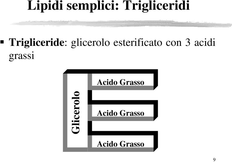 esterificato con 3 acidi grassi