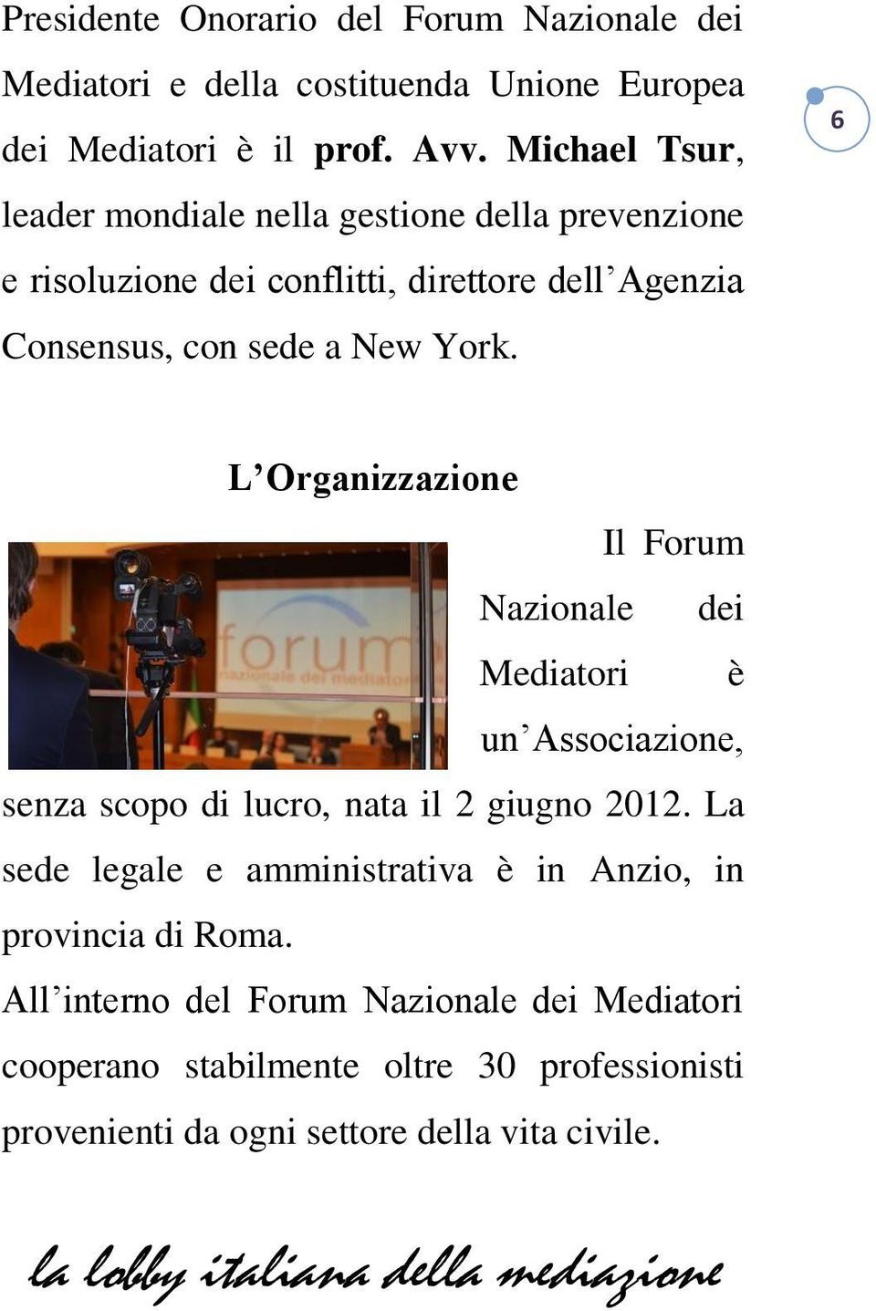 6 L Organizzazione Il Forum Nazionale dei Mediatori è un Associazione, senza scopo di lucro, nata il 2 giugno 2012.