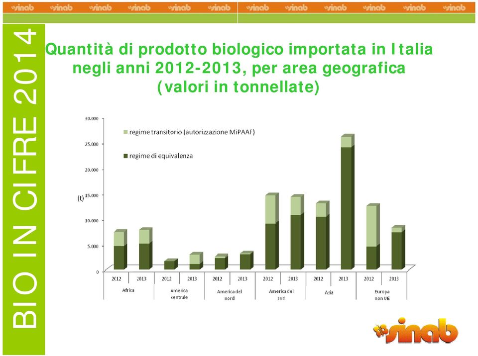 Italia negli anni 2012-2013,