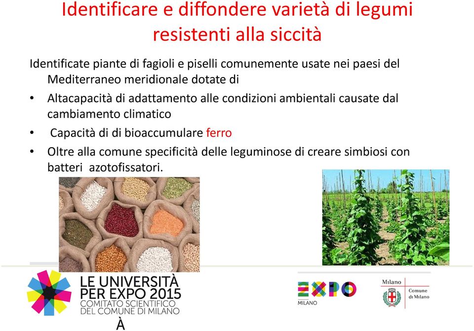 adattamento alle condizioni ambientali causate dal cambiamento climatico Capacità di di