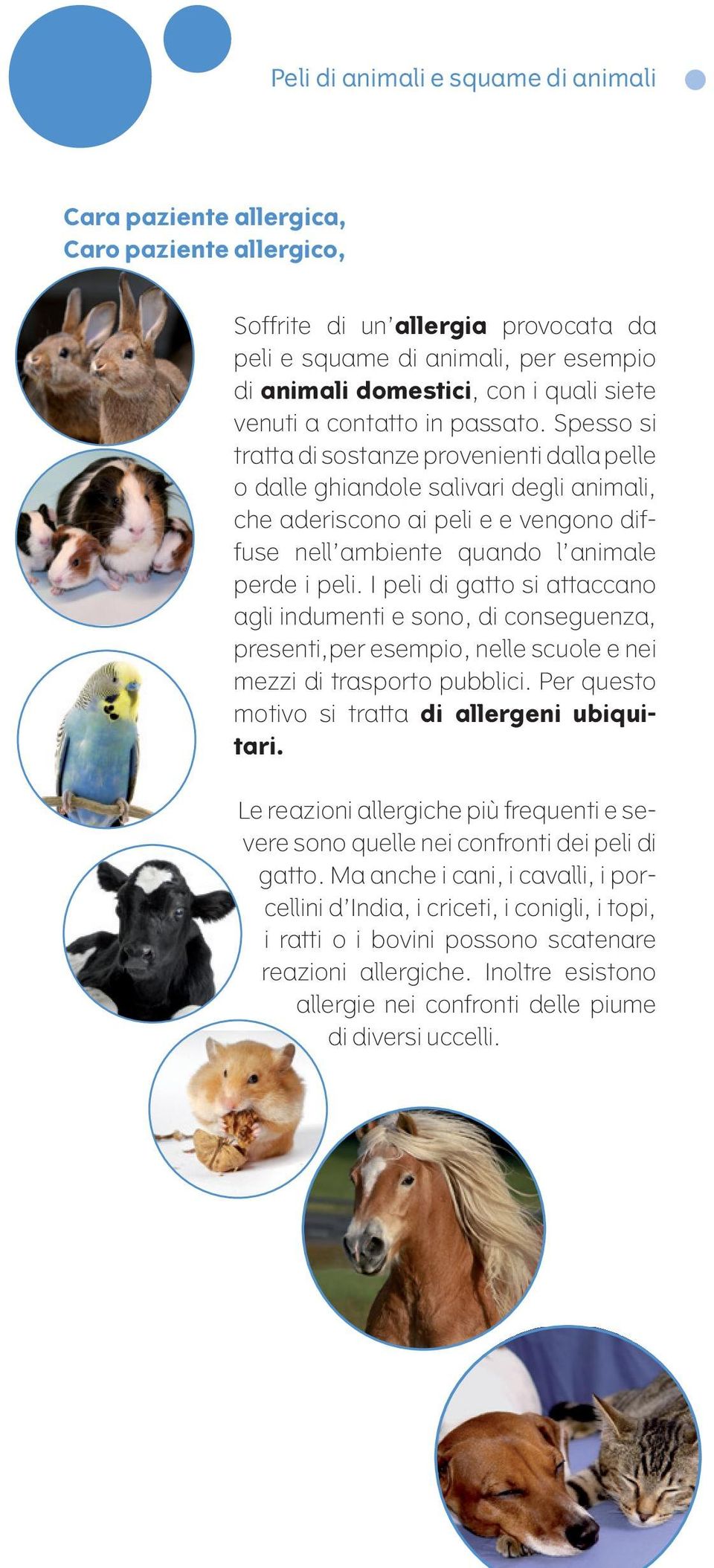 I peli di gatto si attaccano agli indumenti e sono, di conseguenza, presenti,per esempio, nelle scuole e nei mezzi di trasporto pubblici. Per questo motivo si tratta di allergeni ubiquitari.