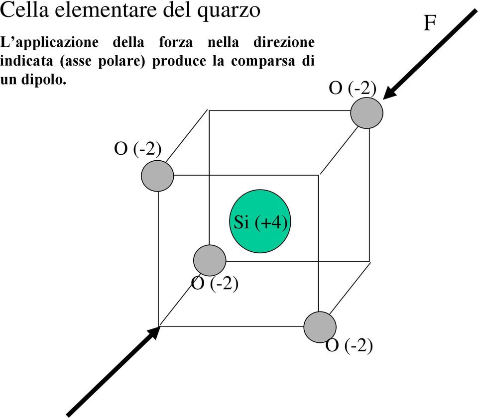 inicata (asse polare) prouce la