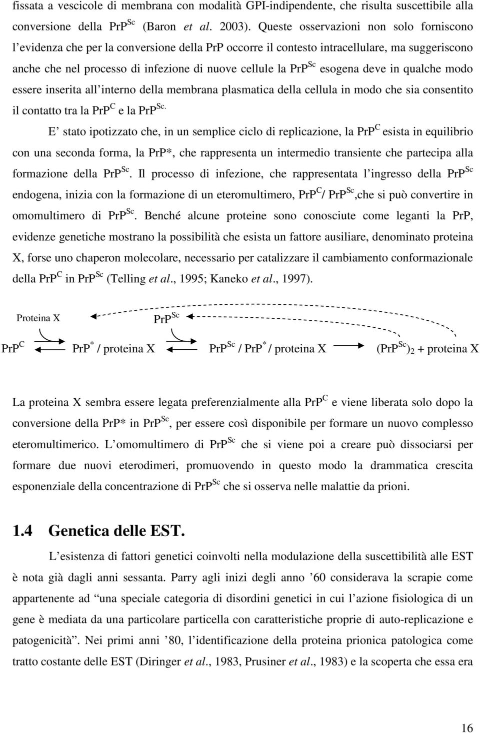 esogena deve in qualche modo essere inserita all interno della membrana plasmatica della cellula in modo che sia consentito il contatto tra la PrP C e la PrP Sc.