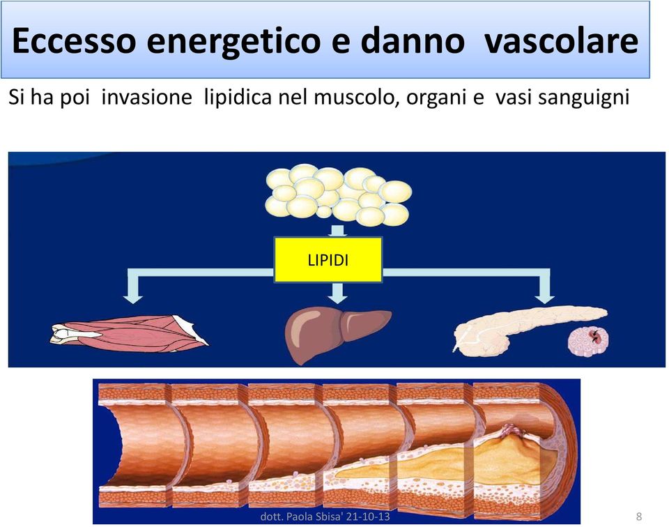 invasione lipidica nel