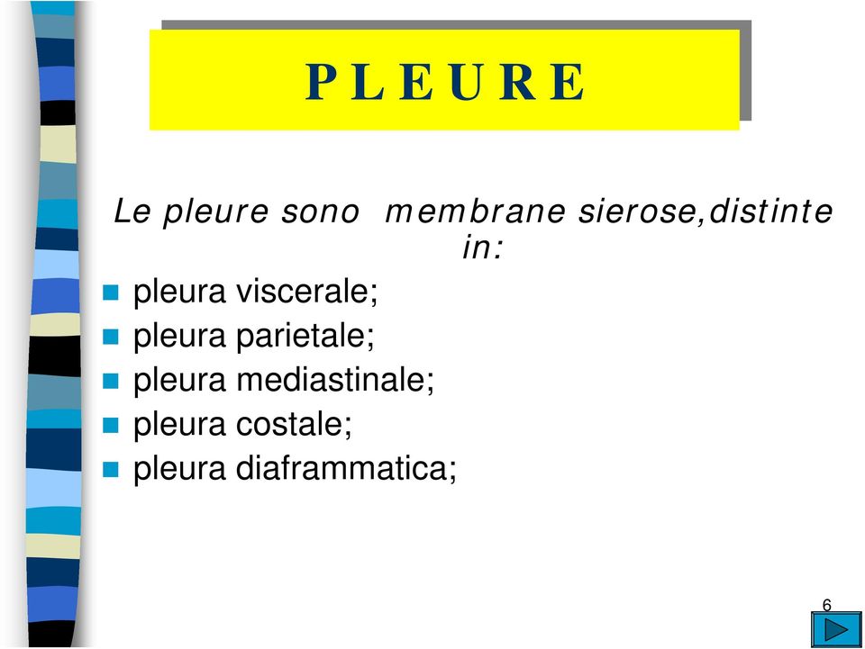 viscerale; pleura parietale; pleura