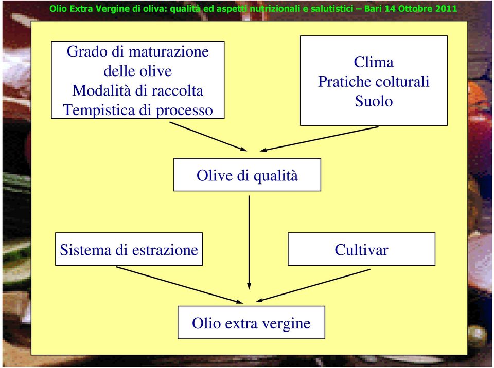 sensoriali e nutrizionali Olive di qualità Nel caso particolare dell olio di oliva un insieme di fattori