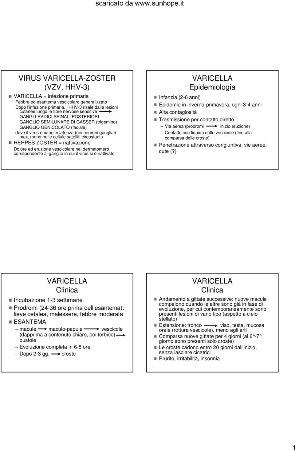 riattivazione Dolore ed eruzione vescicolare nel dermatomero corrispondente al ganglio in cui il virus si è riattivato Epidemiologia Infanzia (2-6 anni) Epidemie in inverno-primavera, ogni 3-4 anni