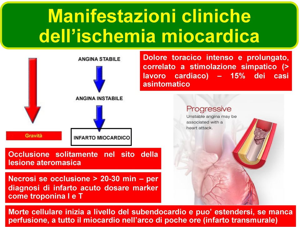 Necrosi se occlusione > 20-30 min per diagnosi di infarto acuto dosare marker come troponina I e T Morte cellulare