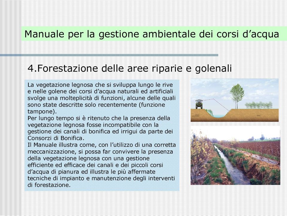 delle quali sono state descritte solo recentemente (funzione tampone).