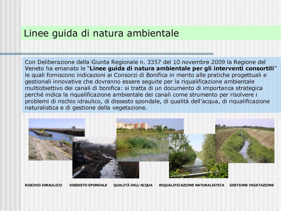 pratiche progettuali e gestionali innovative che dovranno essere seguite per la riqualificazione ambientale multiobiettivo dei canali di bonifica: si tratta di un documento di importanza strategica