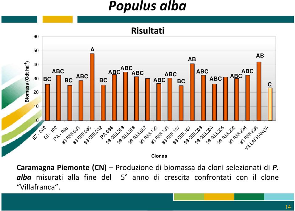alba misurati alla fine del 5 anno di crescita confrontati con il clone Villafranca.
