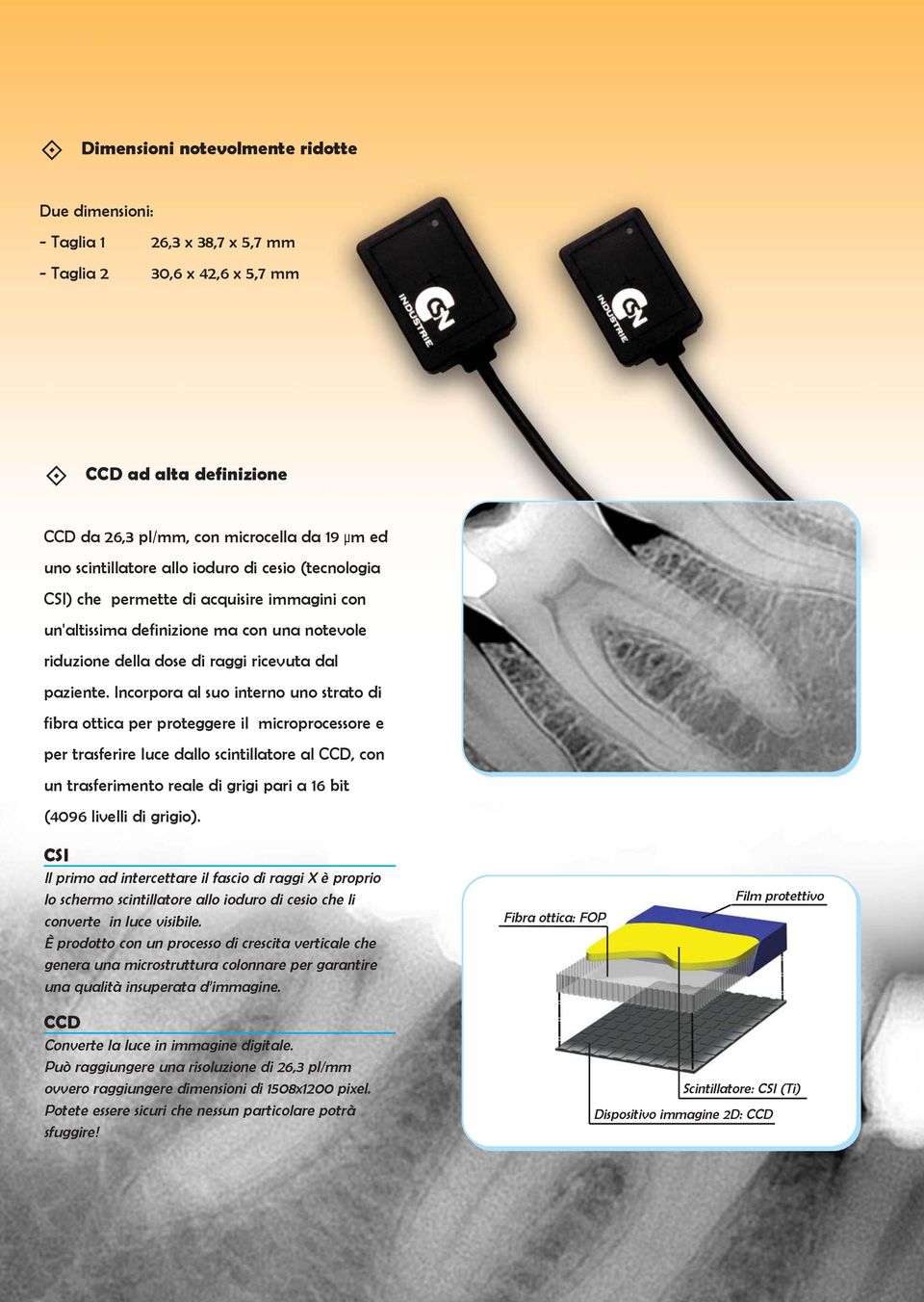 lncorpora al suo interno uno strato di fibra ottica per proteggere il microprocessore e per trasferire luce dallo scintillatore al CCD, con un trasferimento reale di grigi pari a 16 bit (4096 livelli