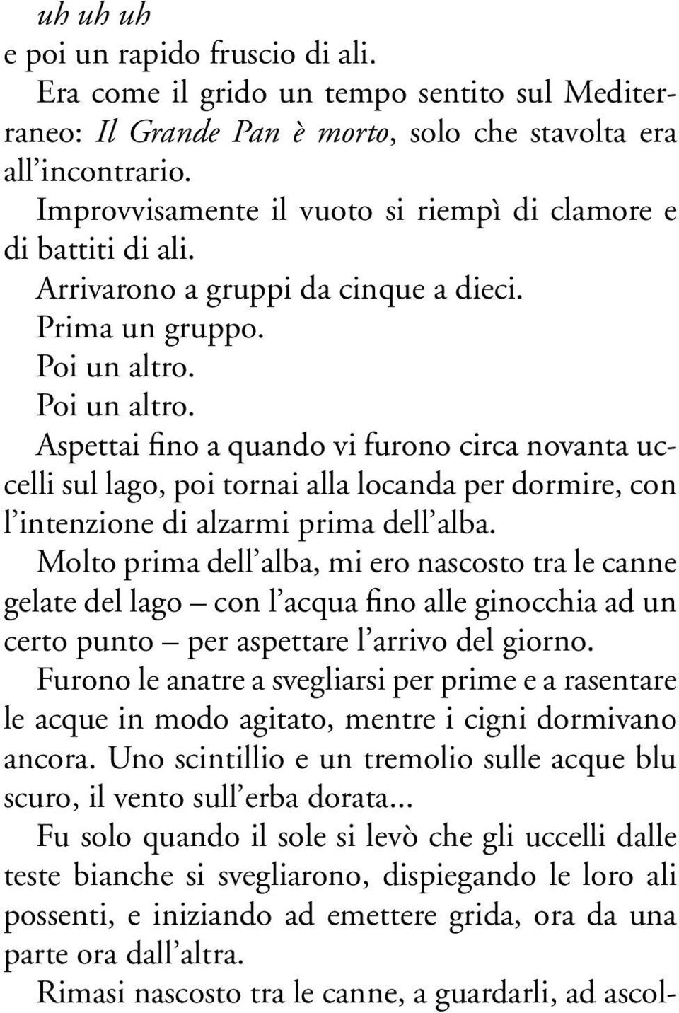 Poi un altro. Aspettai fino a quando vi furono circa novanta uccelli sul lago, poi tornai alla locanda per dormire, con l intenzione di alzarmi prima dell alba.