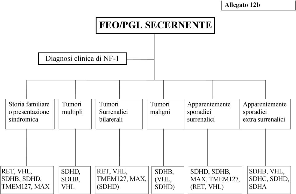 sindromica bilarerali surrenalici extra surrenalici RET, VHL, SDHD, RET, VHL, SDHB, SDHD, SDHB, SDHB,