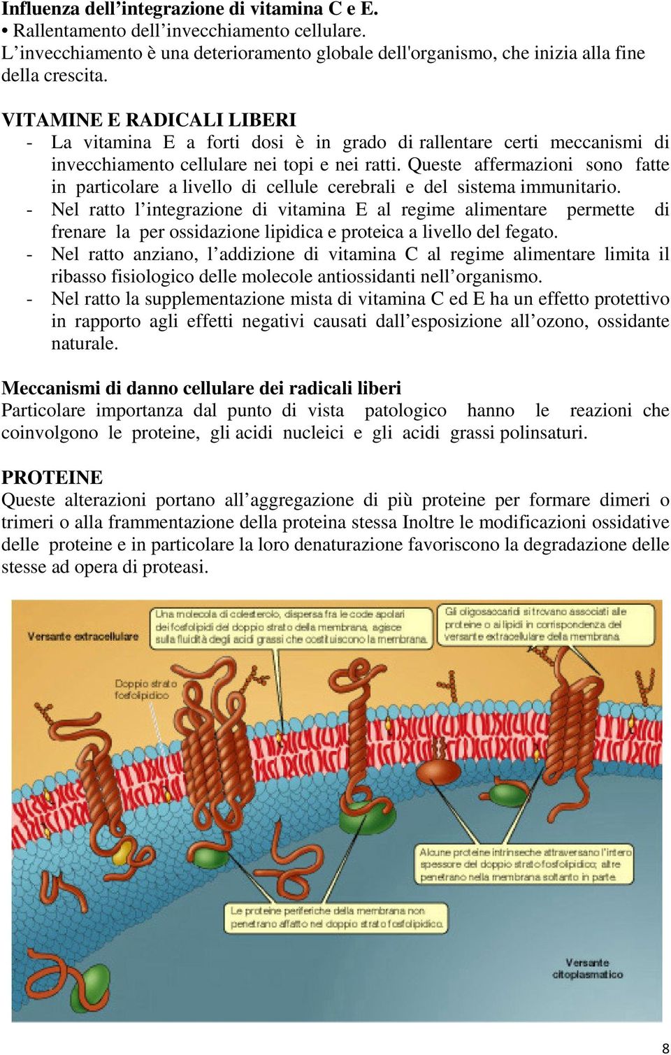 Queste affermazioni sono fatte in particolare a livello di cellule cerebrali e del sistema immunitario.