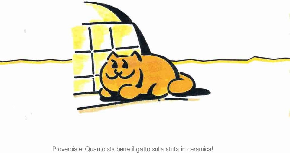 il gatto sulla