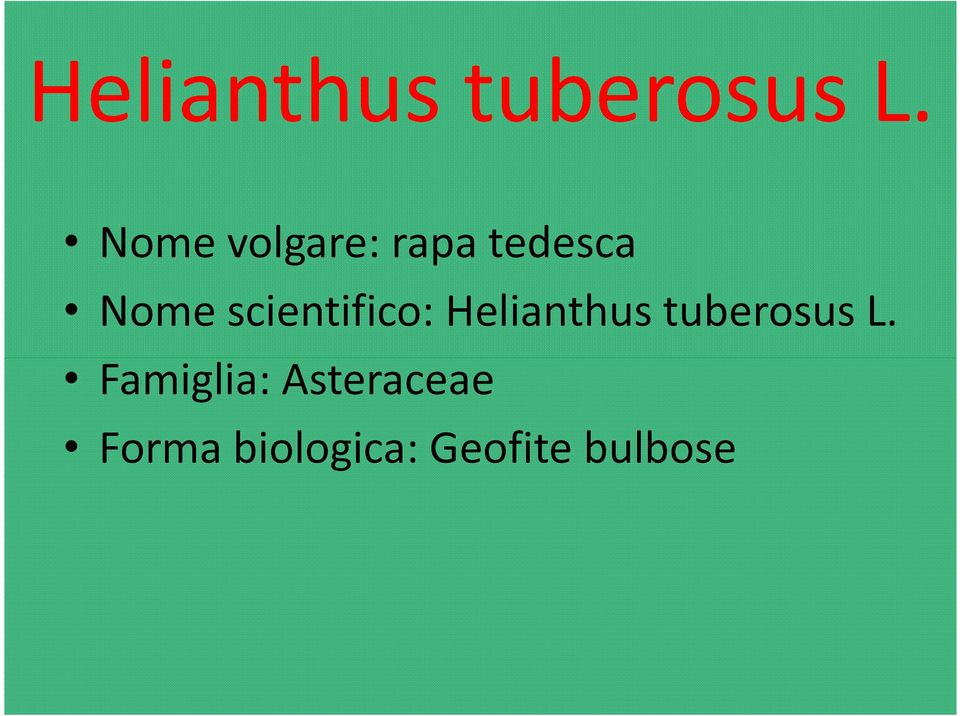 scientifico:  Famiglia: Asteraceae