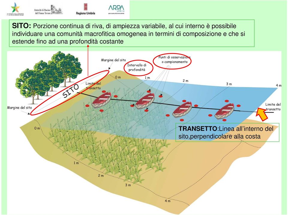 in termini di composizione e che si estende fino ad una profondità