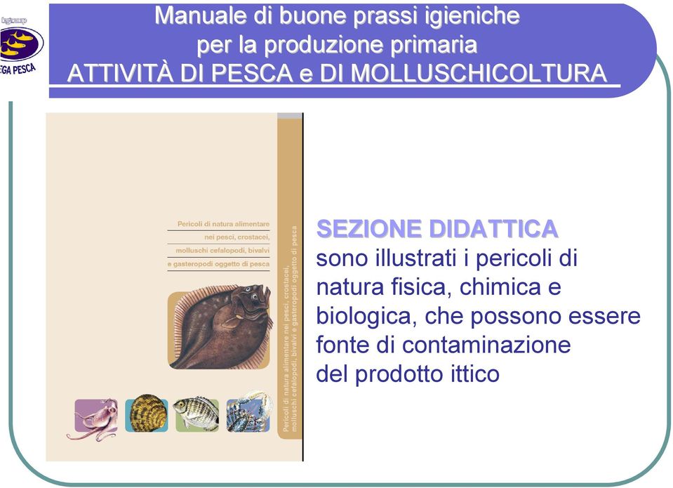 di natura fisica, chimica e biologica, che