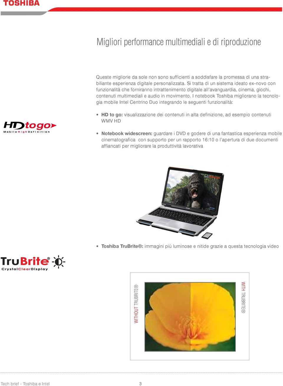 I notebook Toshiba migliorano la tecnologia mobile Intel Centrino Duo integrando le seguenti funzionalità: HD to go: visualizzazione dei contenuti in alta definizione, ad esempio contenuti WMV HD