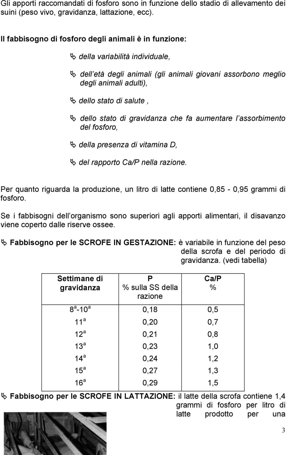 stato di gravidanza che fa aumentare l assorbimento del fosforo, della presenza di vitamina D, del rapporto Ca/P nella razione.