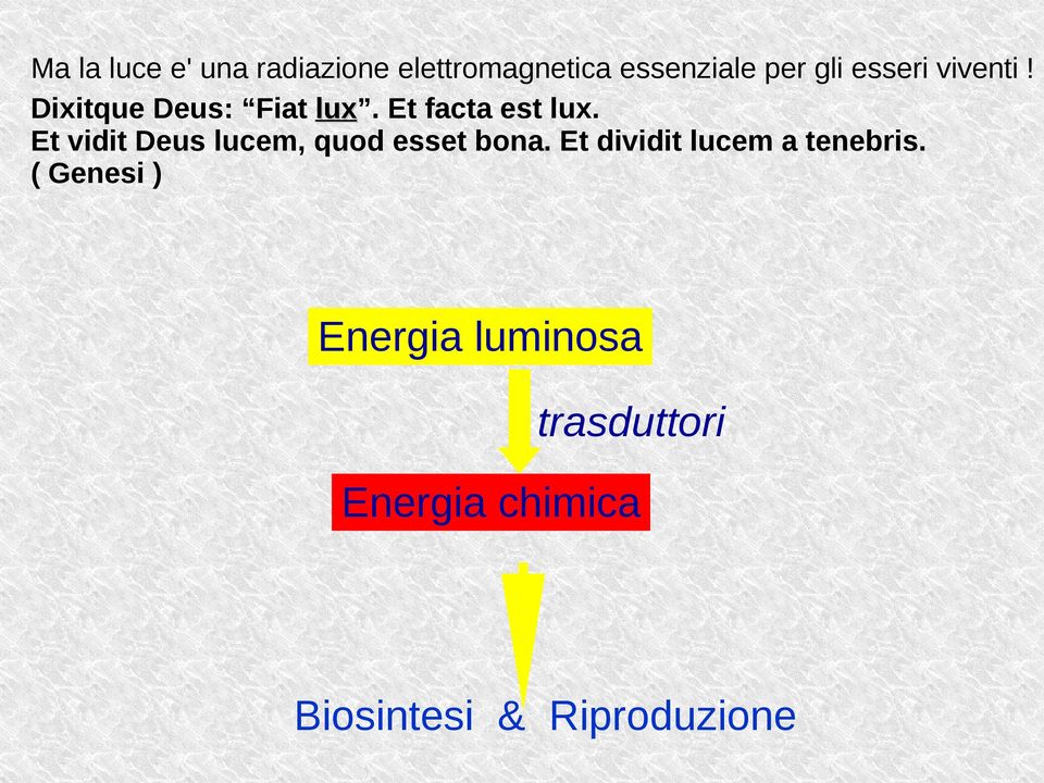 Et vidit Deus lucem, quod esset bona. Et dividit lucem a tenebris.