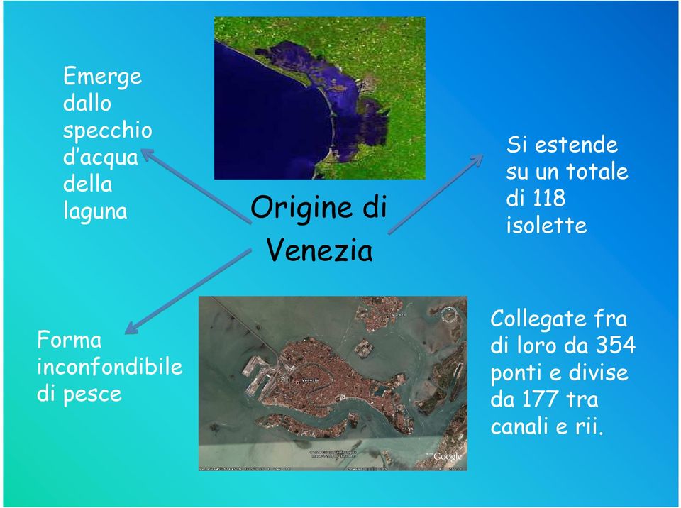 isolette Forma inconfondibile di pesce Collegate