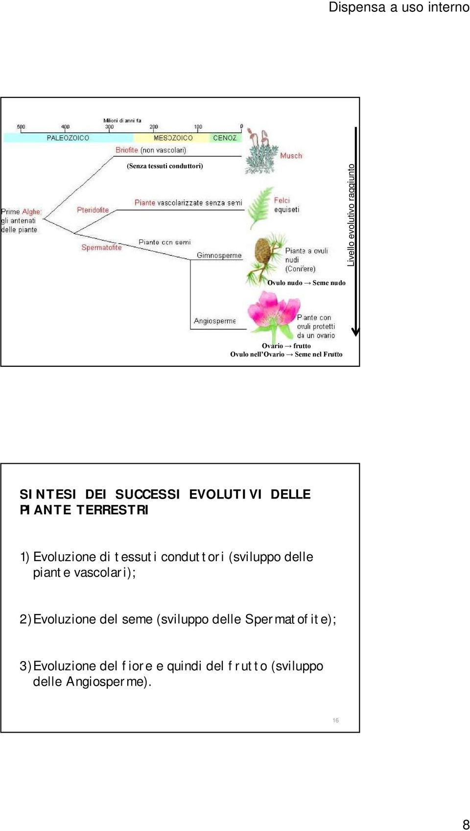 Evoluzione di tessuti conduttori (sviluppo delle piante vascolari); 2)Evoluzione del seme