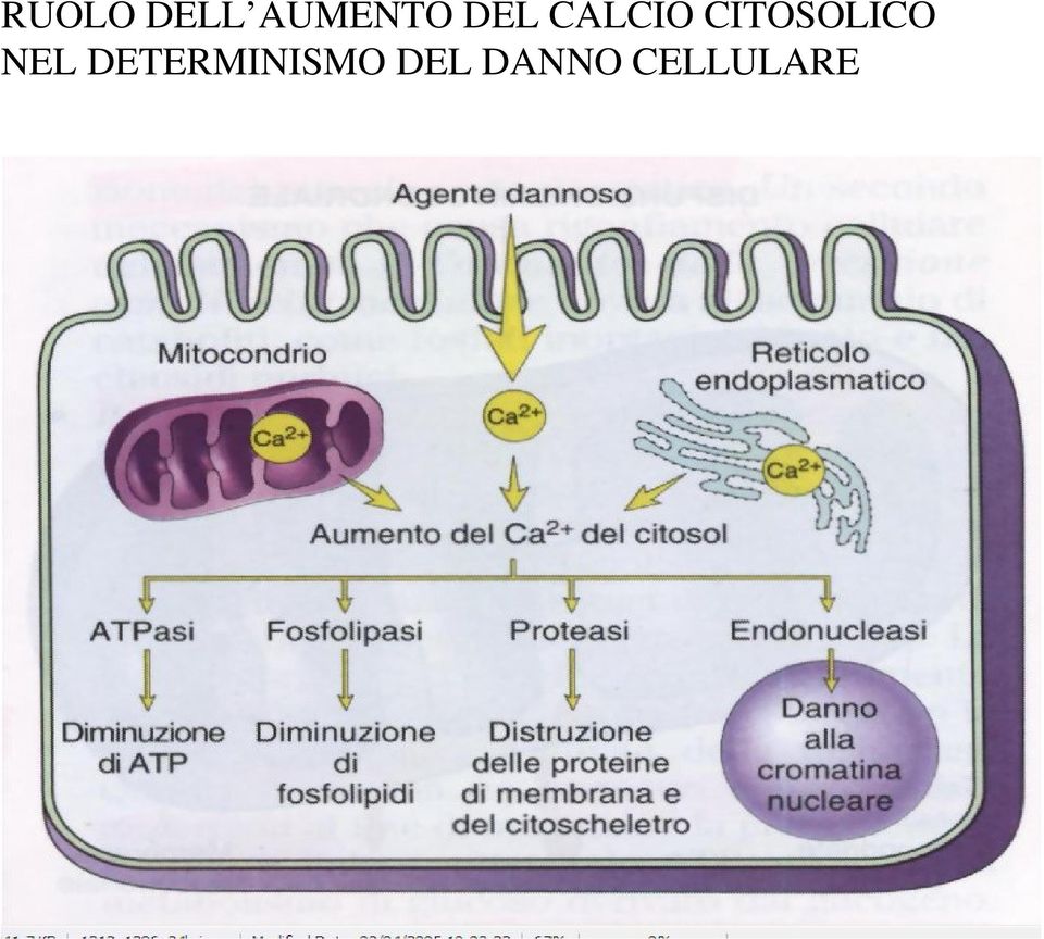 CELLULARE NEL DETERMINISMO IRREVERSIBILE DEL E DANNO