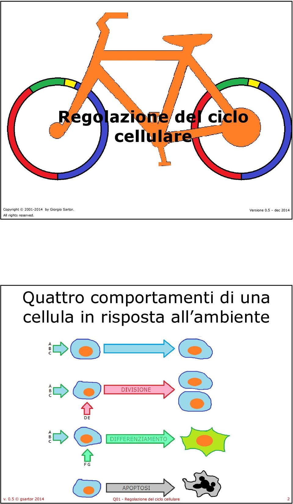 5 dec 2014 Quattro comportamenti di una cellula in