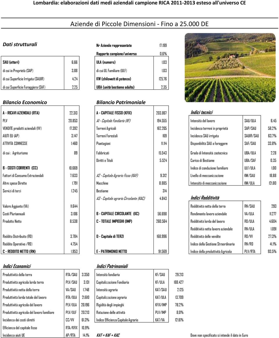 125,76 di cui Superficie Foraggiera (SAF) 2,25 UBA (unità bestiame adulto) 2,35 A - RICAVI AZIENDALI (RTA) 22.313 A - CAPITALE FISSO (KFIX) 203.867 Indici tecnici PLV 20.