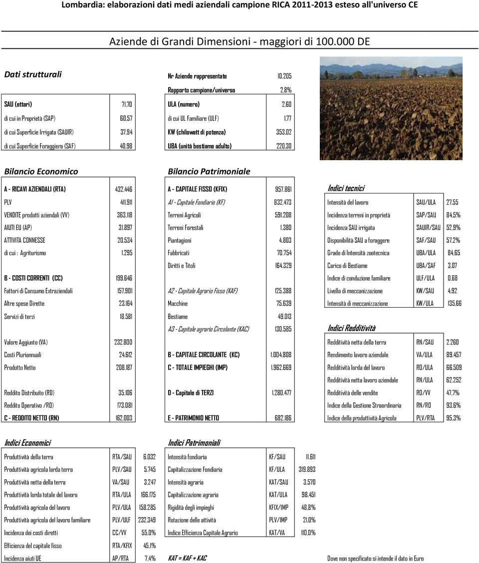 potenza) 353,02 di cui Superficie Foraggiera (SAF) 40,98 UBA (unità bestiame adulto) 220,30 A - RICAVI AZIENDALI (RTA) 432.446 A - CAPITALE FISSO (KFIX) 957.861 Indici tecnici PLV 411.