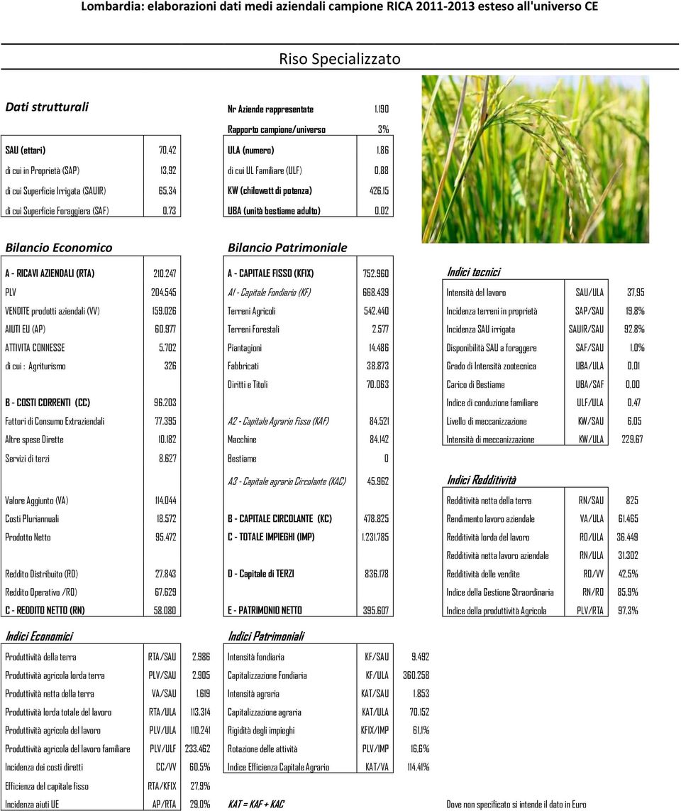 potenza) 426,15 di cui Superficie Foraggiera (SAF) 0,73 UBA (unità bestiame adulto) 0,02 A - RICAVI AZIENDALI (RTA) 210.247 A - CAPITALE FISSO (KFIX) 752.960 Indici tecnici PLV 204.