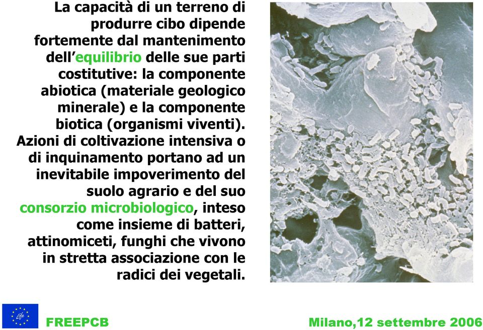 Azioni di coltivazione intensiva o di inquinamento portano ad un inevitabile impoverimento del suolo agrario e del suo