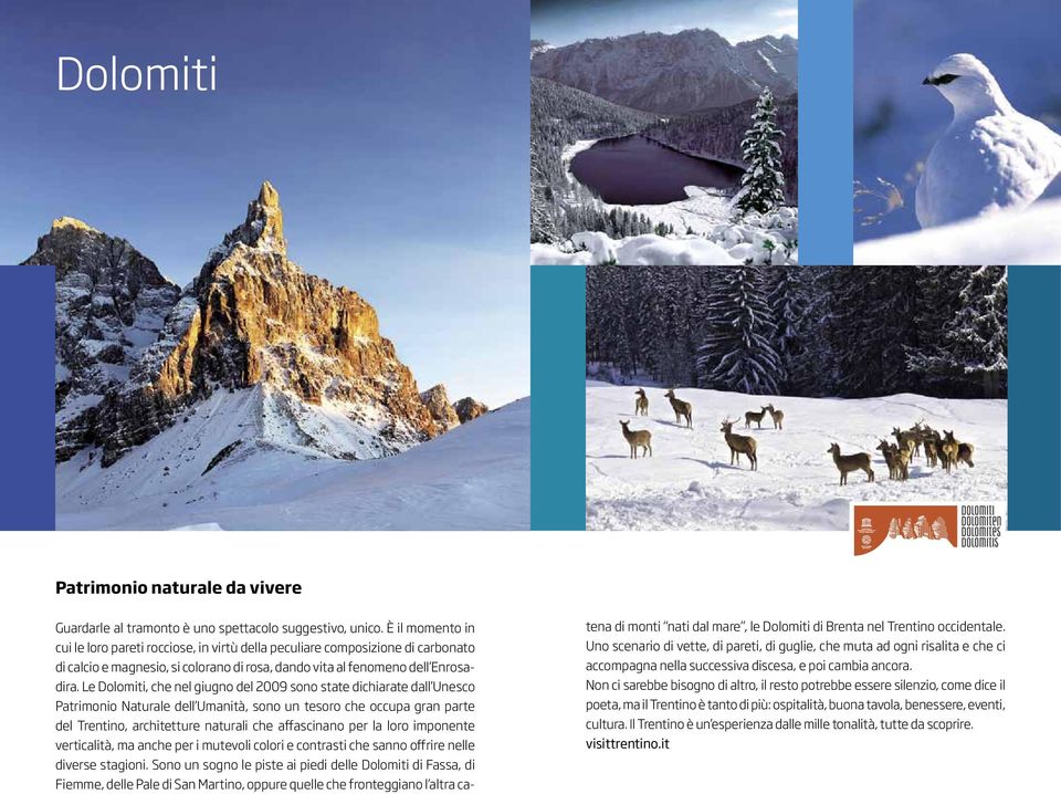 Le Dolomiti, che nel giugno del 2009 sono state dichiarate dall Unesco Patrimonio Naturale dell Umanità, sono un tesoro che occupa gran parte del Trentino, architetture naturali che affascinano per