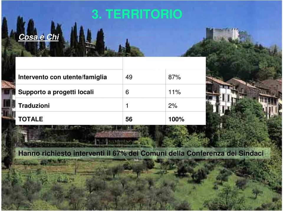 progetti locali 6 11% Traduzioni 1 2% TOTALE 56 100%