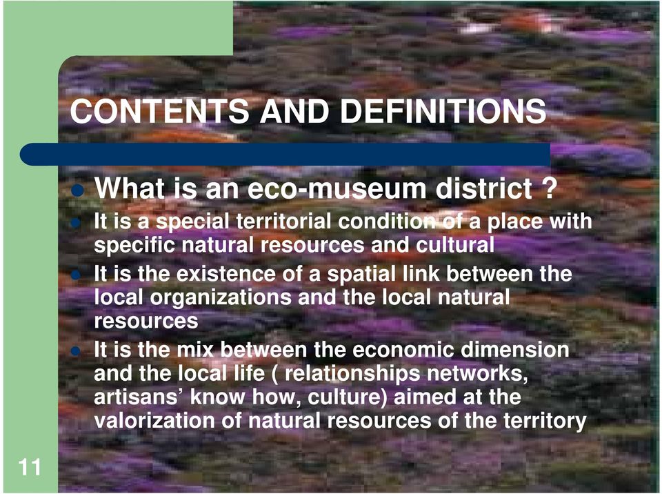existence of a spatial link between the local organizations and the local natural resources It is the mix