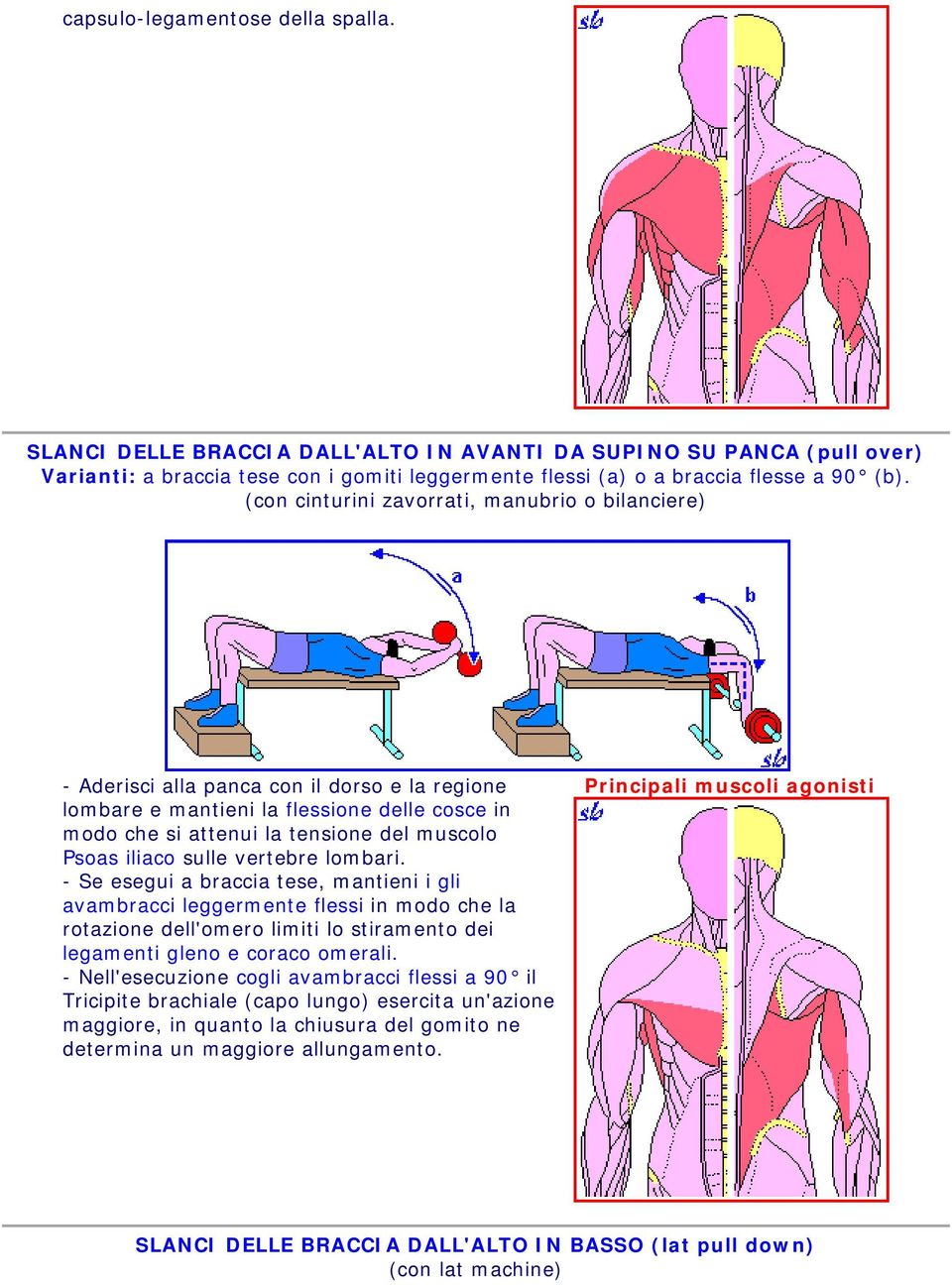 iliaco sulle vertebre lombari. - Se esegui a braccia tese, mantieni i gli avambracci leggermente flessi in modo che la rotazione dell'omero limiti lo stiramento dei legamenti gleno e coraco omerali.