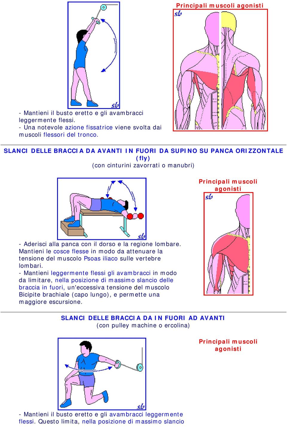 Mantieni le cosce flesse in modo da attenuare la tensione del muscolo Psoas iliaco sulle vertebre lombari.