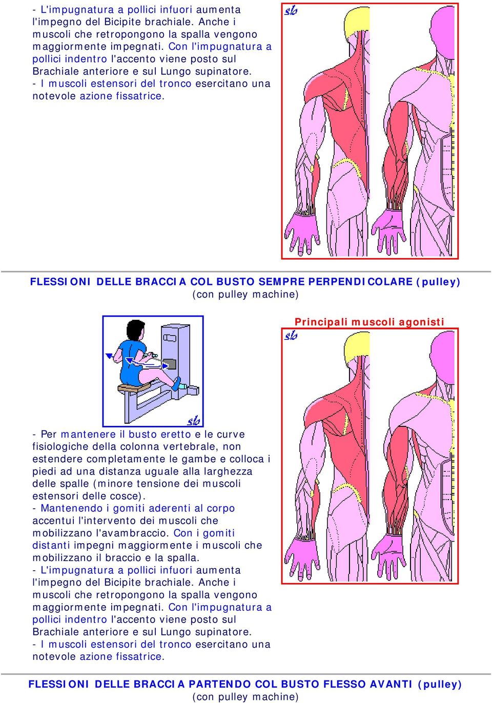 FLESSIONI DELLE BRACCIA COL BUSTO SEMPRE PERPENDICOLARE (pulley) (con pulley machine) - Per mantenere il busto eretto e le curve fisiologiche della colonna vertebrale, non estendere completamente le