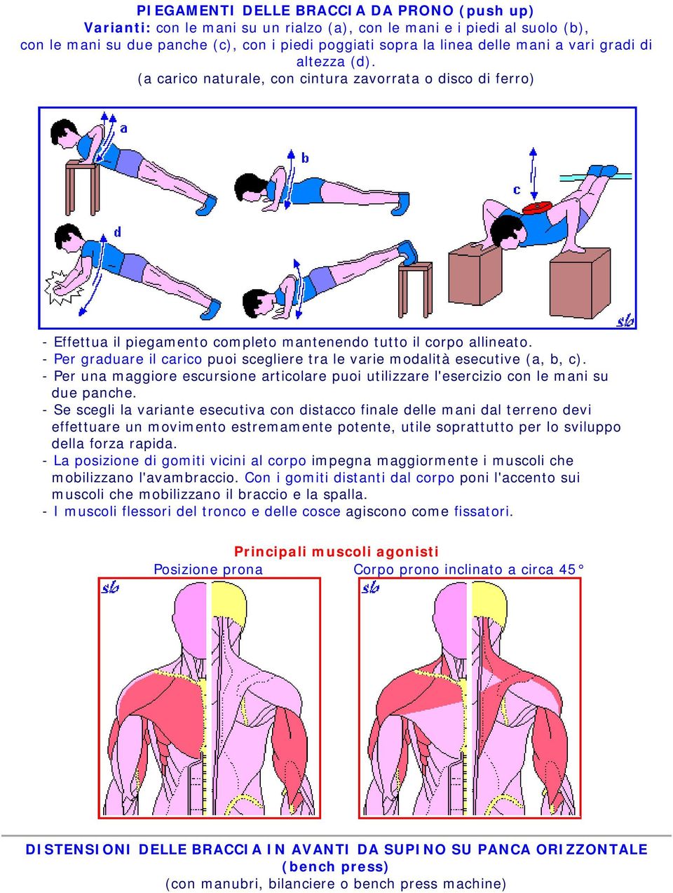 - Per graduare il carico puoi scegliere tra le varie modalità esecutive (a, b, c). - Per una maggiore escursione articolare puoi utilizzare l'esercizio con le mani su due panche.