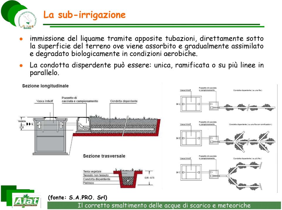 assimilato e degradato biologicamente in condizioni aerobiche.