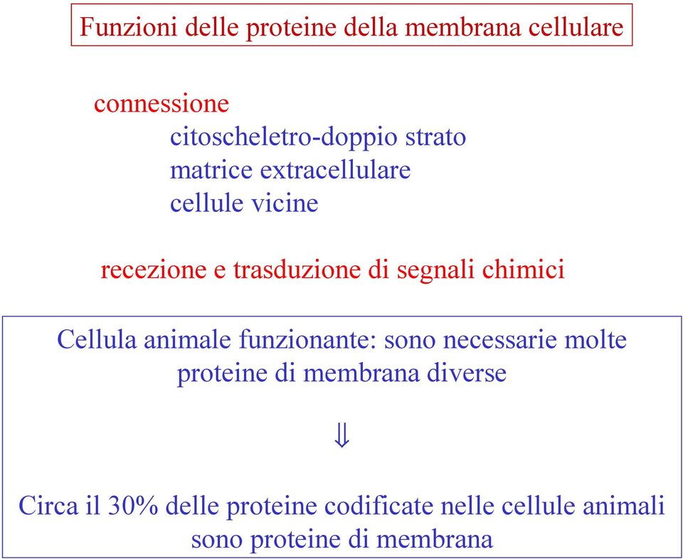 chimici Cellula animale funzionante: sono necessarie molte proteine di membrana