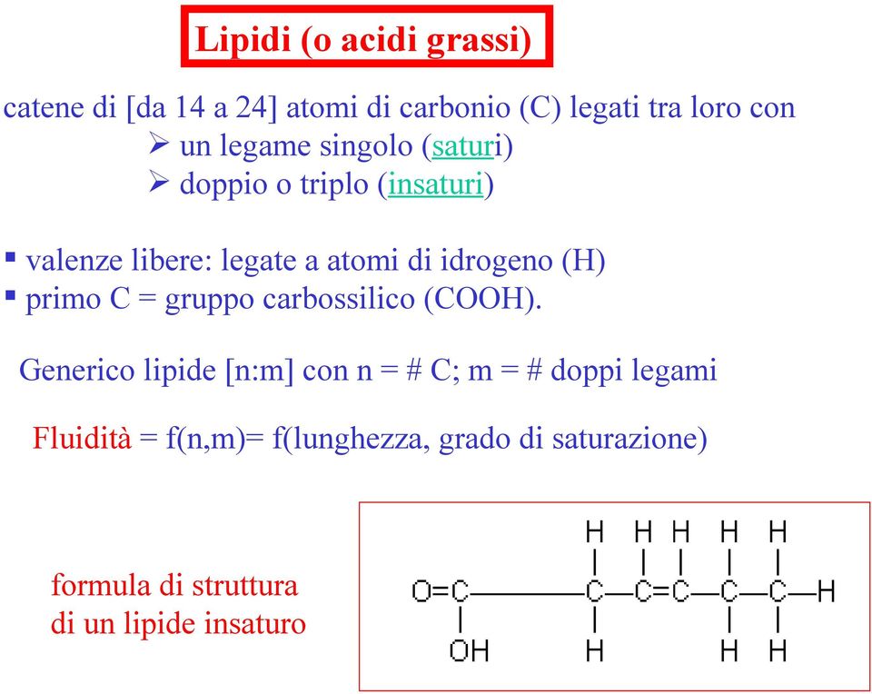 (H) primo C = gruppo carbossilico (COOH).