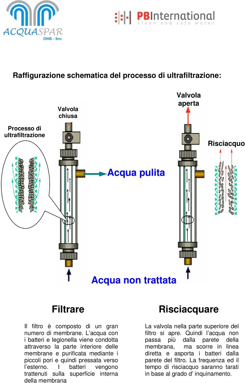 L acqua con i batteri e legionella viene condotta attraverso la parte interiore delle membrane e purificata mediante i piccoli pori e quindi pressata verso l esterno.