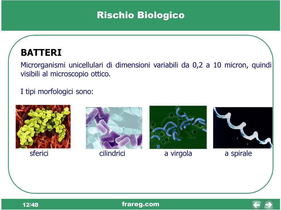 microscopio ottico.