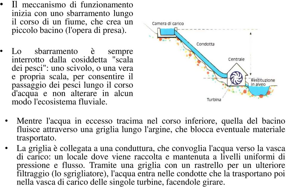 modo l'ecosistema fluviale. Mentre l'acqua in eccesso tracima nel corso inferiore, quella del bacino fluisce attraverso una griglia lungo l'argine, che blocca eventuale materiale trasportato.