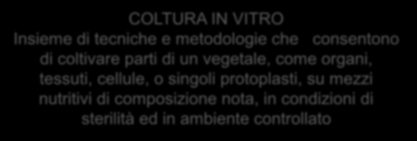 di sterilità ed in ambiente controllato Miglioramento genetico Risanamento tramite coltura di meristemi DIVERSE